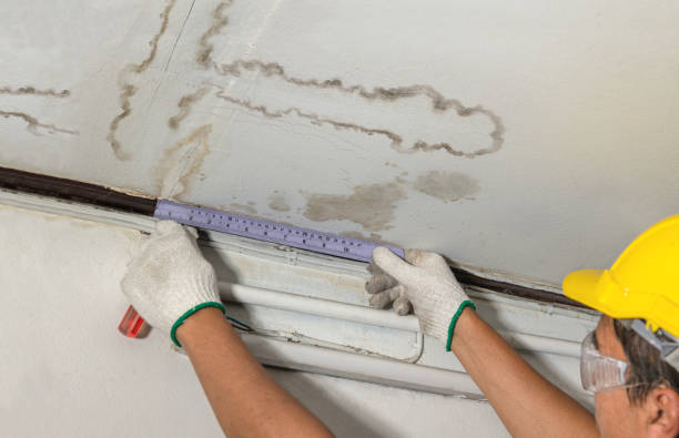 Reliable Water Damage contractor in Center Ossipee, NH by Water Damage Irwin